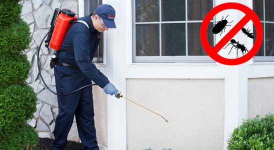 Karakoçan Bit İlaçlama böcek ilaçlama ve haşere kontrolü — ilaclama-tr.com